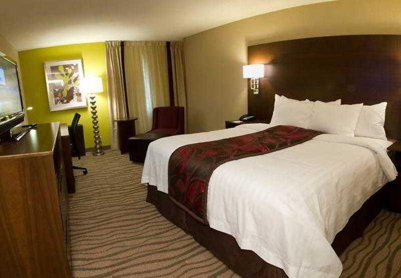 Fairfield Inn & Suites By Marriott Dallas Dfw Airport South/Irving Camera foto